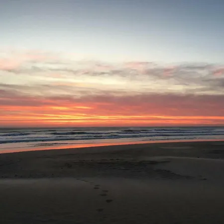 Take Surf Conil